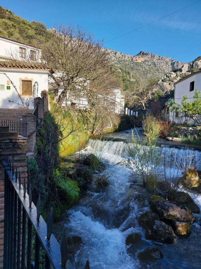 Molino Del Santo Hotel Benaoján Eksteriør billede
